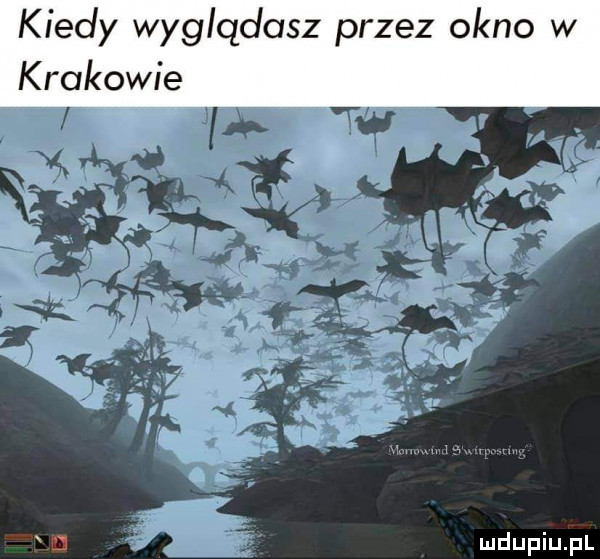 kiedy wyglądasz przez okno w krakowie