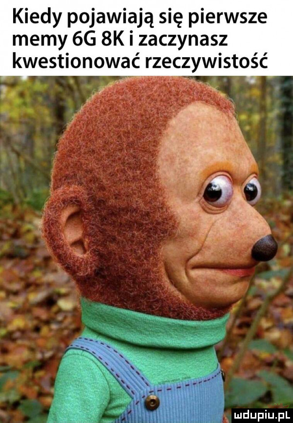 kiedy pojawiają się pierwsze memy    bk i zaczynasz kwestionować rzeczywistość