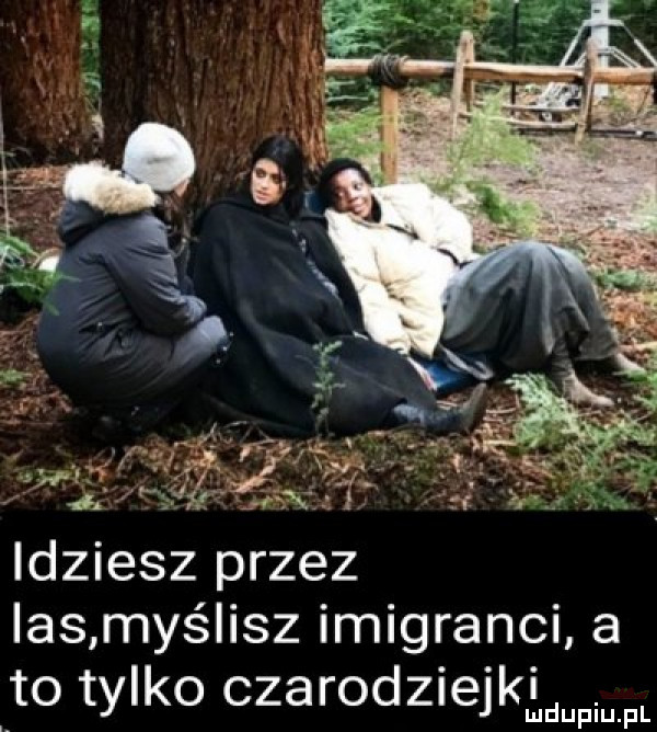idziesz przez ihs maś ilz imigranci a to tylko czarodziejki