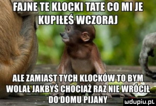 bu. f i ale lammas i mu klogkówjo bym icie w w wulal keys luuuz lill wt ibl iiiiimi pijany mdupiu. pl