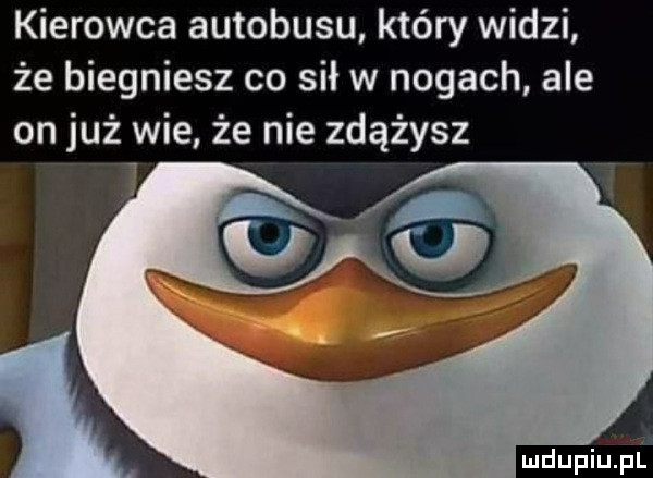 kierowca autobusu który widzi że biegniesz co sił w nogach ale on już wie że nie zdążysz