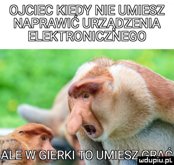 j ice kiedy nicie umiesz napracwii urzązieiniha elektr inih zneg i   iii w ale w gi erki tq um eisz cam mdupiu. pl