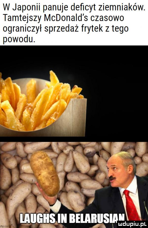 w japonii panuje deficyt ziemniaków. tamtejszy mcdonald s czasowo ograniczył sprzedaż frytek z tego gńząłxinłnusmux ludupiu. ibl