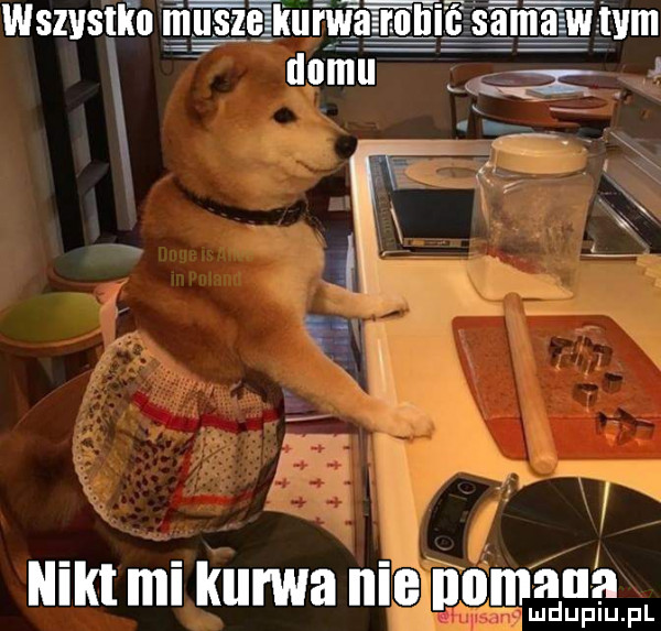 iiiiii mi kurwa nie nymana lud u plu pl