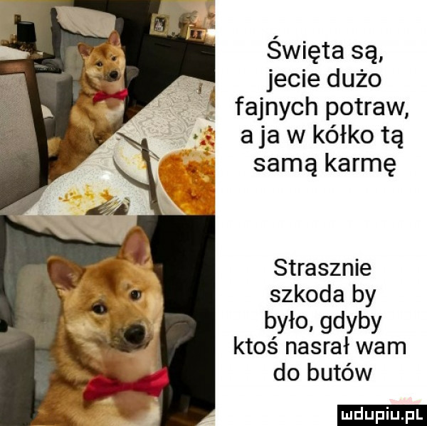 święta są. jecie dużo fajnych potraw a ja w kółko tą samą karmę strasznie szkoda by było gdyby ktoś nasrał wam do butów ludu iu. l
