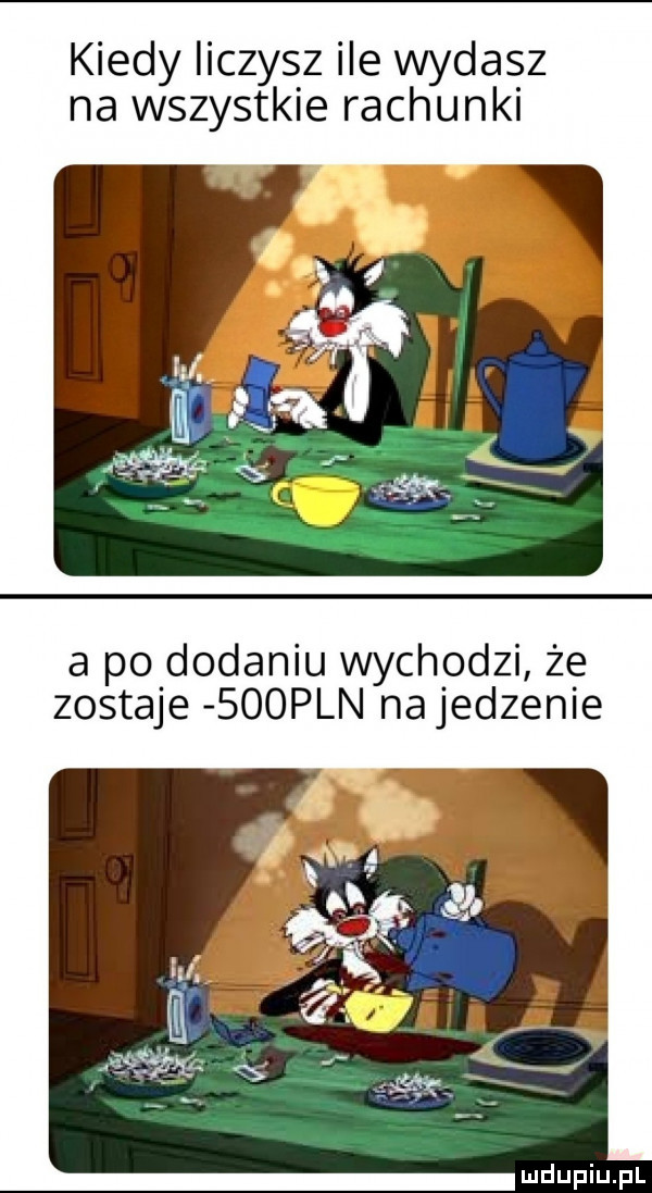 kiedy iiczysz ile wydasz na wszystkie rachunki a po dodaniu wychodzi że zostaje    pln najedzenie