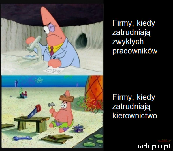 firmy kiedy zatrudniają zwykłych pracowników firmy kiedy zatrudniają kierownictwo