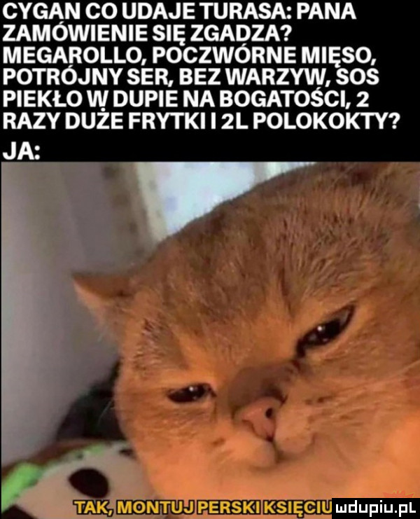 cygan co udaje tarasa pana zamówienie się zgadza megarollo. poczwórne mięso potrójny ser. bez warzyw sos piekło w dupie na bogatości   razy duze frytki i  l polokokty ja v i tak montujęferskl księciu