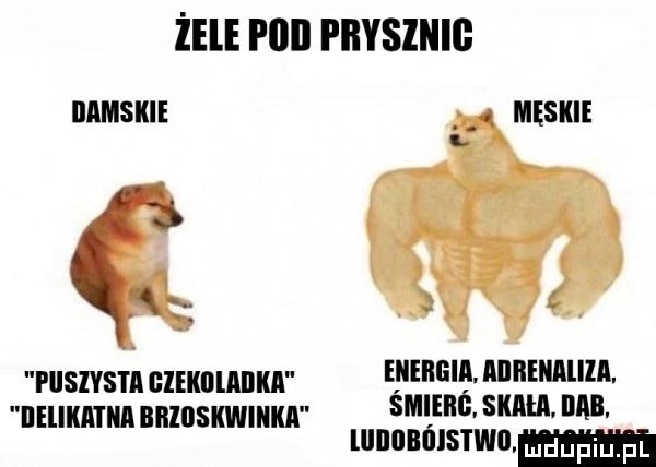 żele plii pbysinig nmsm    l rususm eunummm gummunnmulk iielikatiia nnlosxwmun smm mu m muamma