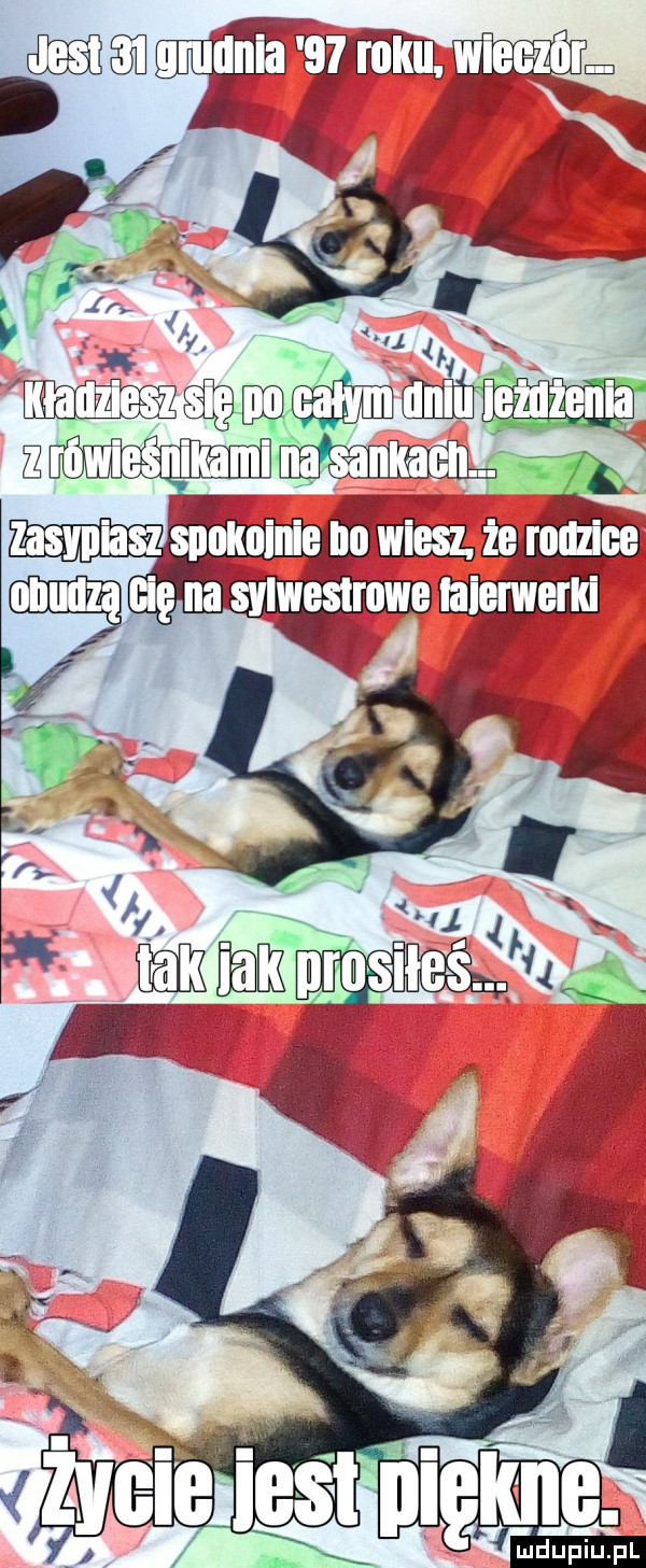 zyclenlst nlęe x ludupiu. pl