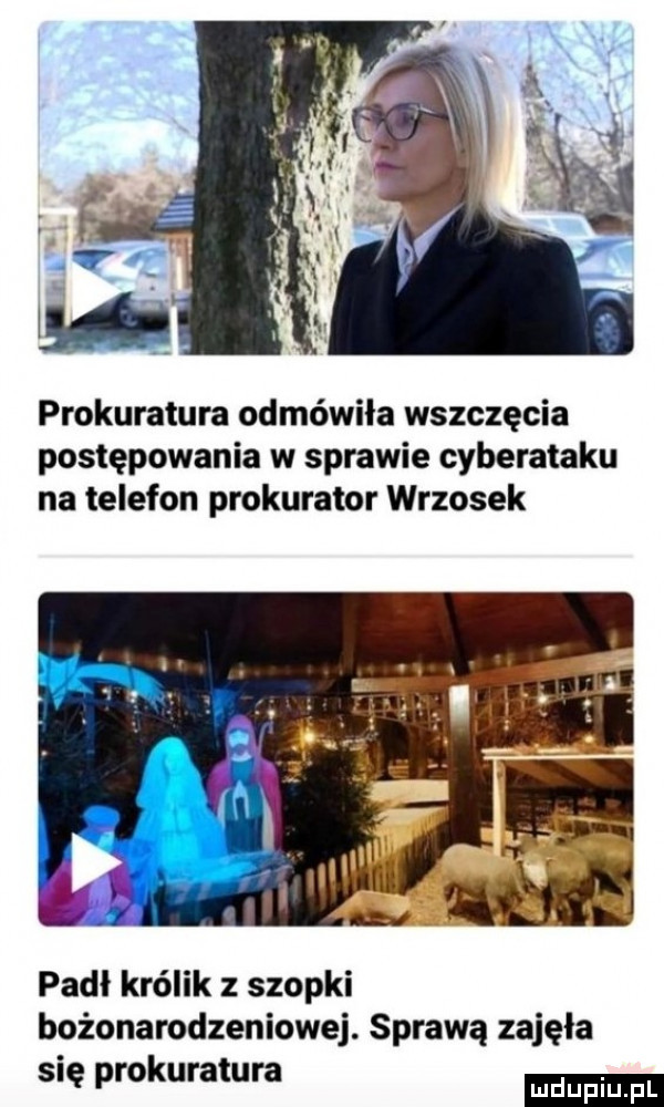 prokuratura odmówiła wszczęcia postępowania w sprawie cyberataku na telefon prokurator wrzosek ti padł królik szopki bożonarodzeniowej. sprawą zajęła się prokuratura