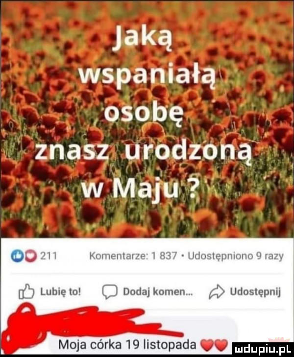 jaką wspaniałą. a ośqbę znasz urodzoną w maju lr x.      komeumrzr w    udusxępmmm u my d lubięlo c dodaj kamen. udostępnij moja córka    listopada. mdupiu fl