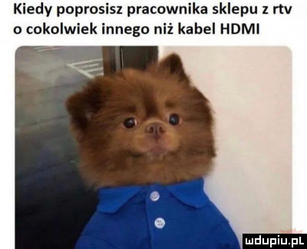 kiedy poprosisz pracownika sklepu z rtv o cokolwiek innego niż kabel hdmi
