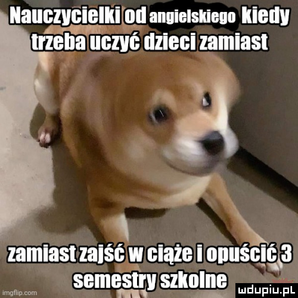 nauczycielki all anuielskieun iiieiiv trzecia b cew dzieci zamiast s zamiast zajść w ciąże i iiiiiisgiqsi semestru szioiiii mamom
