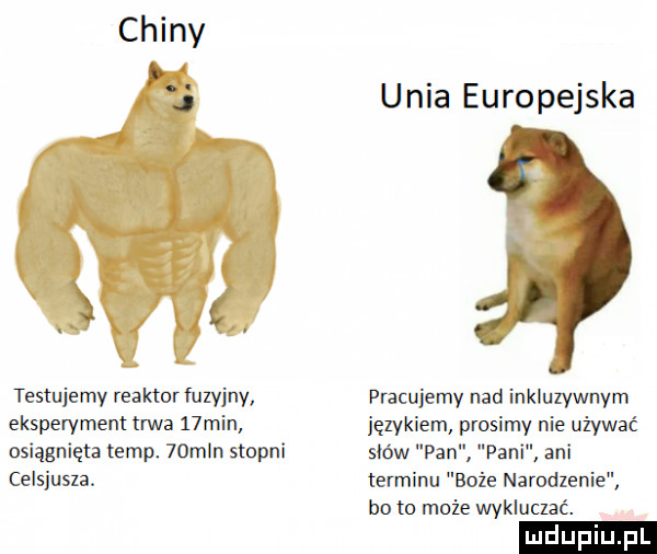 unia europejska testujemy reaktor fuzyjny pracujemy nad inkluzywnym eksperyment tana   min językiem prosimy nie używać osiągnięta temp.   m n stopni słów pan pani ani celsjusza. terminu boże narodzenie bo to może wykluczać