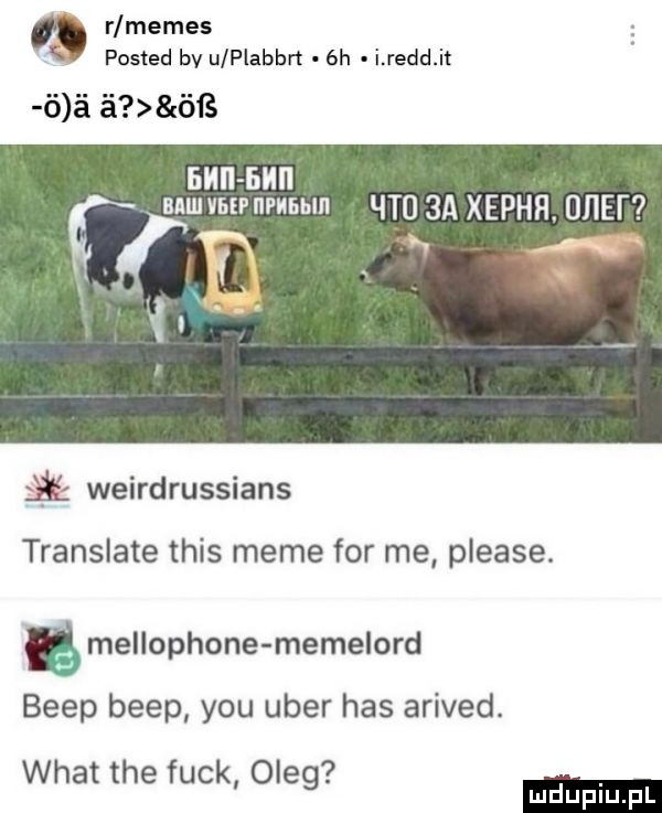 r memes ś posted bv u plabbn  h i reed it   i i ófś f anmvnipnpum ln ht  axephh  n i a f s. s weirdrussians translate tais mime for me please. ę mellophone memelord beep beep y-u umer has arived. wiat tee funk oleg