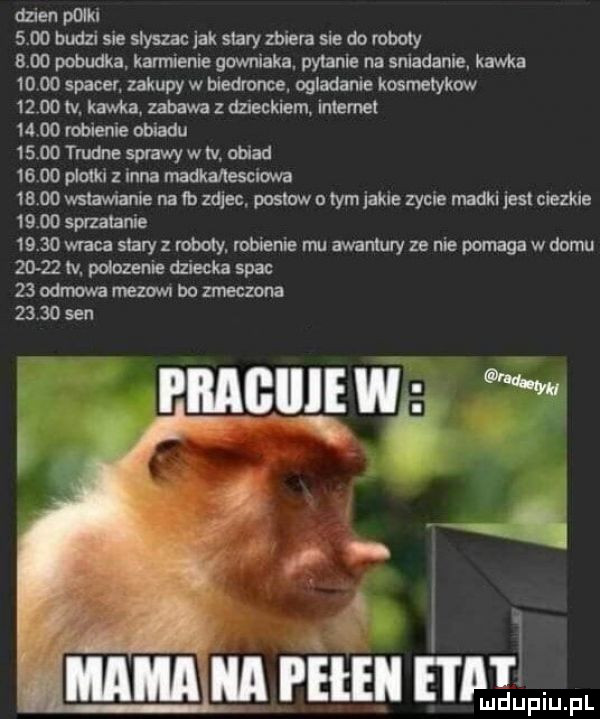 dien pdikl     budzi sie slyszac jak stary acera sie do roboty     pobudka. karmienie gawlaka. pytanie na sniadanie kawka       spacer zakupy w biedronce. ogladanie kosmetykami       tv kawka zabawa z dzieckiem internet       robienie obiadu      denespfawy wtv. mad       plotki z inna madkaltesclawa      wstawtame na tb zdjec postow n tym jakie zycie madki jest ciezkie      sprzatanie      wraca stary z roboty. robienie mu awantury ze nie pomaga w domu       tv. polozenia dziecka spac    odmowa mezow bo zmeczona pragiiiew ł           św i ełeii e i liw fl