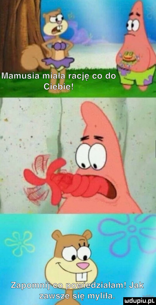 ﬂ c za mmńl ca lwlziałvamg jak na ra a an lav e su mym mmpm pl