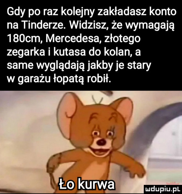 gdy po raz kolejny zakładasz konto na tonderze. widzisz że wymagają    cm. mercedesa złotego zegarka i kutasa do kolan a same wyglądają jakby je stary w garażu łopatą robił