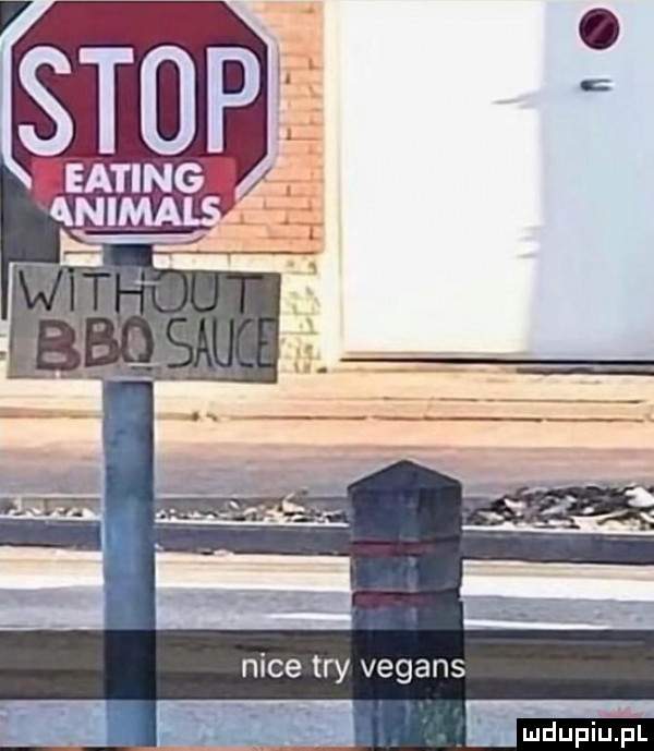 stop eating ludupillial