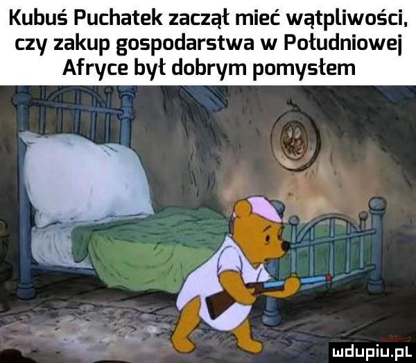 kubuś puchatek zaczął mieć wątpliwości czy zakup gospodarstwa w południowei afryce był dobrym pomysłem