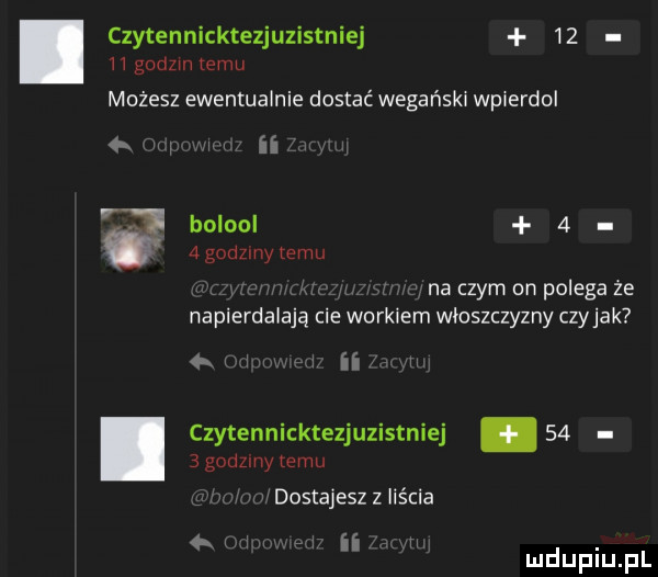 czytennicktezjuzistniej    ii godzin temu możesz ewentualnie dostać wegański wpierdol ii eli bolool     godziny temu i. na czym on polega że napierdalają cie workiem włoszczyzny czyhak ii ilir ii czytennicktezjuzistniej      godzmy temu ii dostajeszz liścia i i i i ii