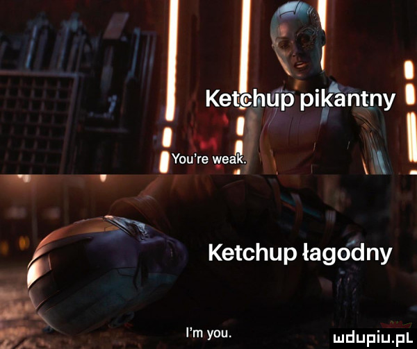 r i ketchu p pikantny. c y-u re wiak   x m x ketchup łagodny. i m y-u