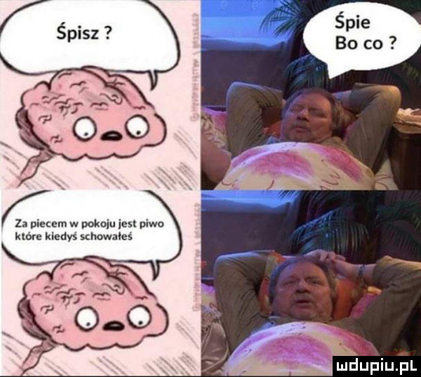em w pokoju jest piwo iedys schowales indupiupl
