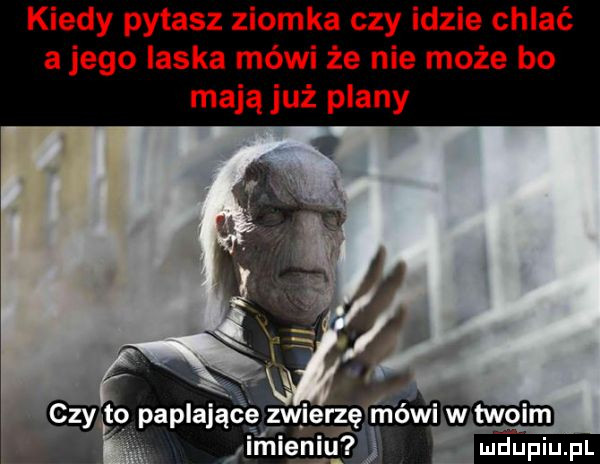 kiedy pytasz ziomka czy idzie chlać a jego laska mówi że nie może bo mają już plany    thpaplająśęjmierśęńgwi w twoim jimieniu mm
