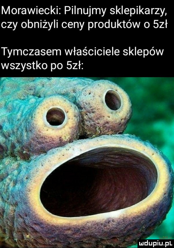 morawiecki pilnujmy sklepikarzy czy obniżyli ceny produktów o sał tymczasem właściciele sklepów wszystko po sał