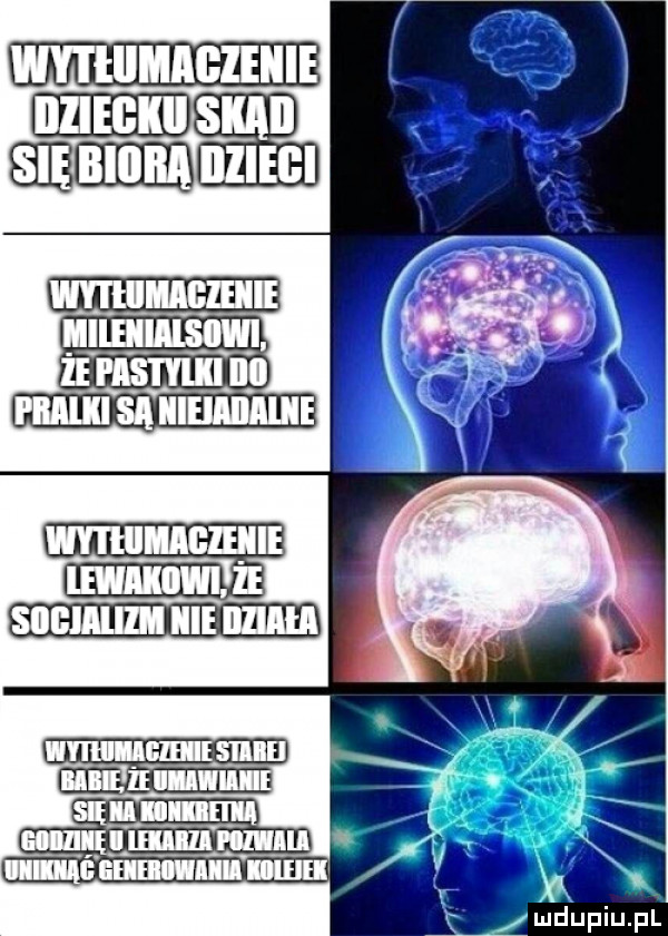 welch mant lllllllll ludupiupl