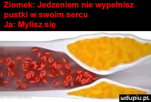 ziomek jedzeniem nie wypełnisz pustki w swoim sercu ja mylisz się ludu iu. l