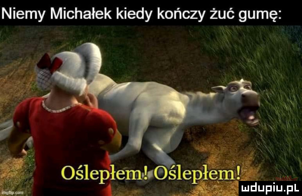 niemy michałek kiedy kończy żuć gumę i e osleaiiibk dce ubu fl