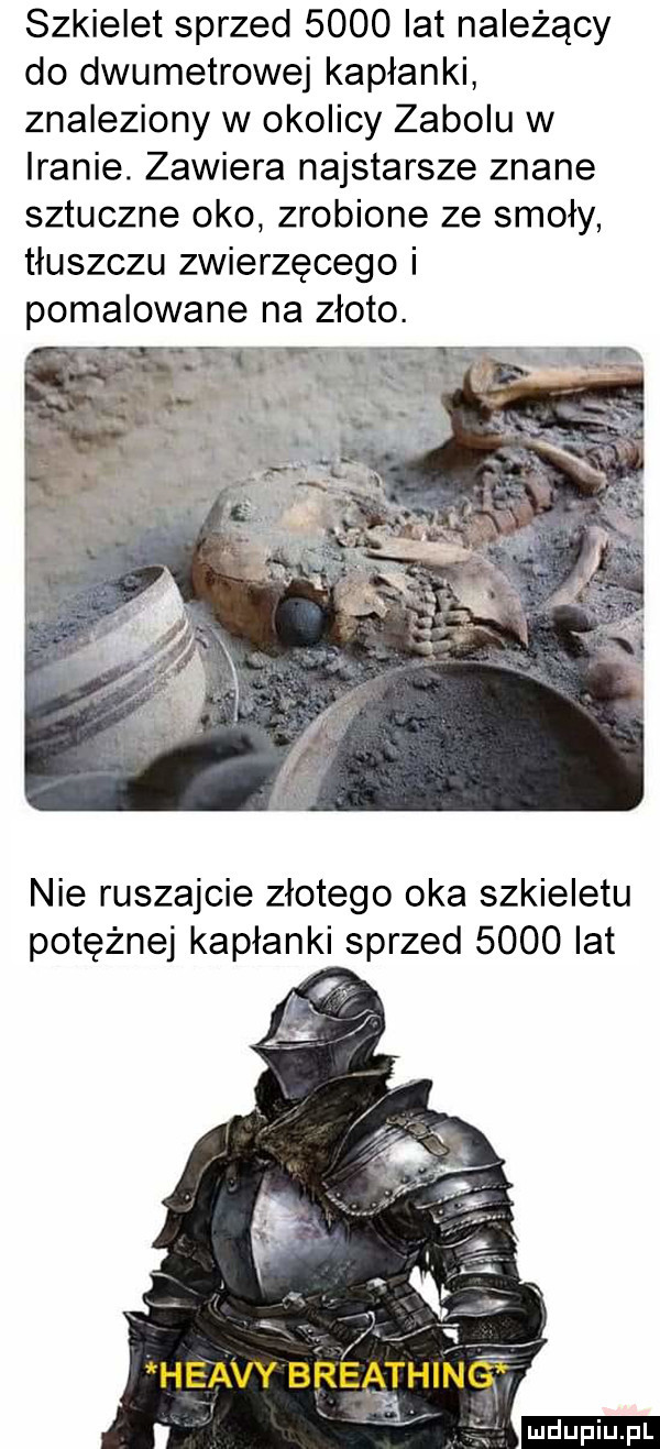 szkielet sprzed      lat należący do dwumetrowej kapłanki znaleziony w okolicy zakolu w iranie. zawiera najstarsze znane sztuczne oko zrobione ze smoły tłuszczu zwierzęcego i pomalowane na złoto. nie ruszajcie złotego oka szkieletu potężnej kapłanki sprzed      lat