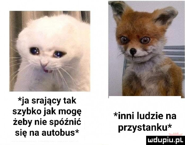 ja srający tak szybko jak mogę żeby nie spóźnić się na autobus inni ludzie na przystanku ludu iu. l