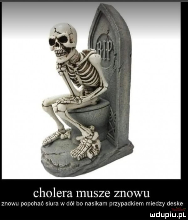 cholera musze znowu znowu popchac saura w do. bo adam przypadkiem miedzy deske
