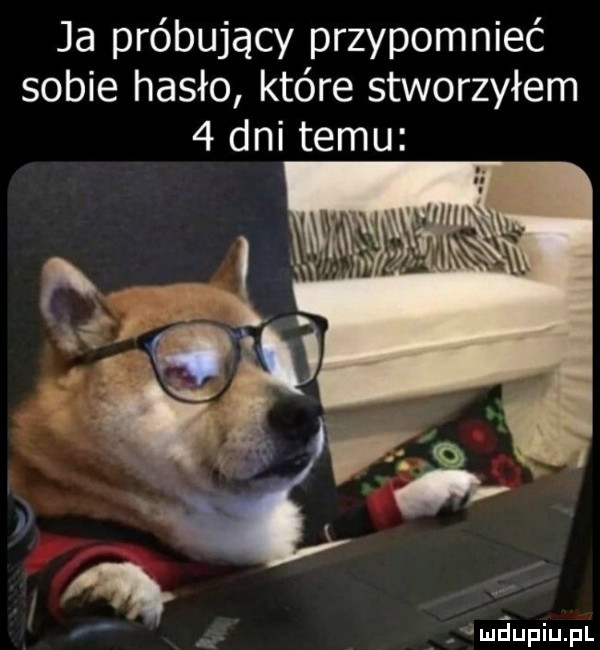 ja próbujący przypomnieć sobie hasło które stworzyłem   dni temu maupiupl