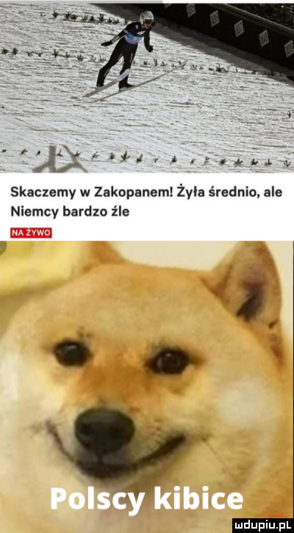 le ﬁt.          skaczemy w zakopanem żyła średnio ale niemcy bardzo źle t mdupiu i l