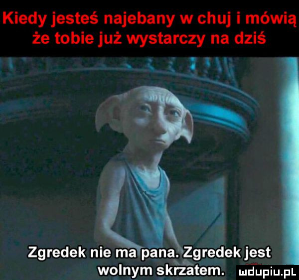 kiedy jesteś najebany w chuj i mówią że tobie już wystarczy na dziś wał v. zgredek nie ma pana. zgredekjest wolnym skrzatem. mdupiu. pl