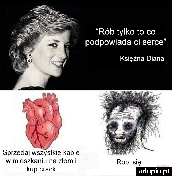 rób tylko to co podpowiada ci serce księżna diana sprzedaj wszystkie kable w mieszkaniu na złom i robi się kup crack