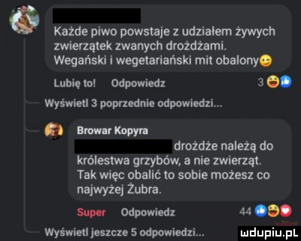 każde piwo powstaje z udziałem żywych zwierzątek zwanych drożdżami. wegański i wegetariański mit obalony. lubię tu odpowiedz    . wyświetl   poprzednie odpowiedzi. bmw kama drożdże należą do królestwa grzybów. a nie zwierząt. tak więc obalić to sobie możesz co najwyżej żubra. sent odpowiedz   . wyświetl jeszcze   odpowiedzi