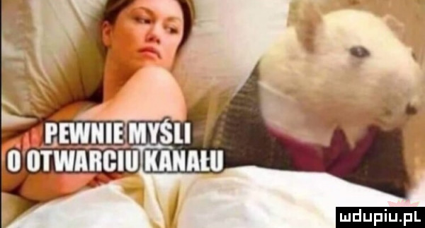mnie myśli wargi kama ludu iu. l