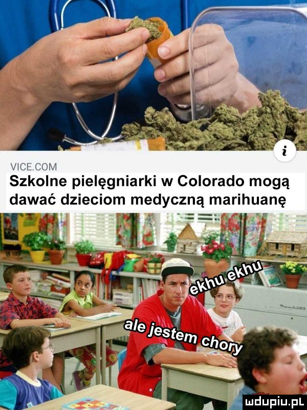viljl com szkolne pielęgniarki w colorado mogą dawać dzieciom medyczną marihuanę i   ii