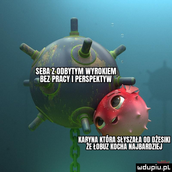 nv segi ż diibvtym wvﬂﬂkiem bez pﬂlll i peiispektyw kinia która shsziui lill iiżesiki ze lilbliz kijbiii iijbahijziej