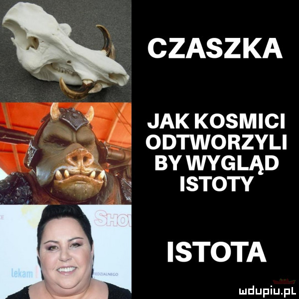 czaszka ck jak kosmici odtworzyli n. bywygląd n istoty istota