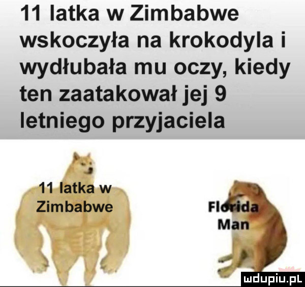latka w zimbabwe wskoczyła na krokodyla i wydłubała mu oczy kiedy ten zaatakował jej   letniego przyjaciela h. j    latka w. zimbabwe fl