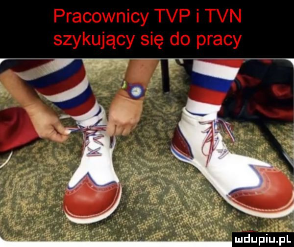 ludupiujal