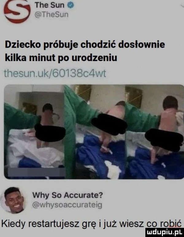 tee sun. dziecko próbuje chodzić dosłownie kilka minut po urodzeniu thesm nkﬁokebc lxaw wdy so accurate   agar rece mamą kiedy restanujesz grę i już wiesz co robić