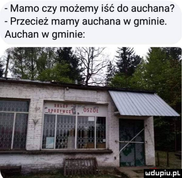 mamo czy możemy iść do auc przecież mamy auchana w nenie. auchan w gminie