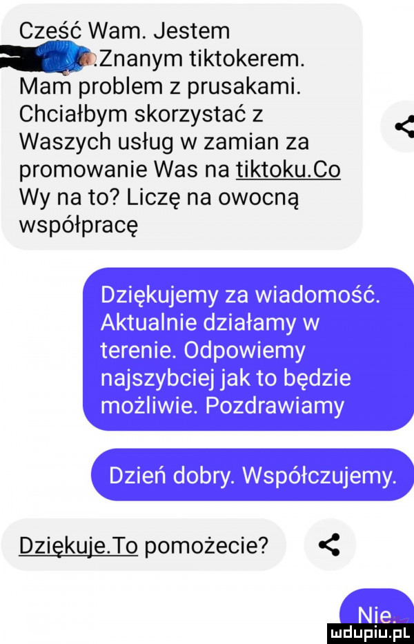 część wam. jestem luzznanym tiktokerem. mam problem z prusakami. chciałbym skorzystać z waszych usług w zamian za promowanie was na tiktoku co wy na to liczę na owocną współpracę dziaku e to pomożecie ludu iu. l